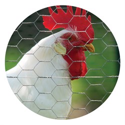 Poultry Netting & Fencing Image